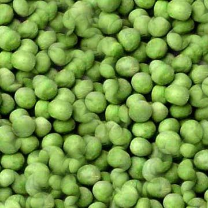 Freeze Dried Garden Peas #10 can